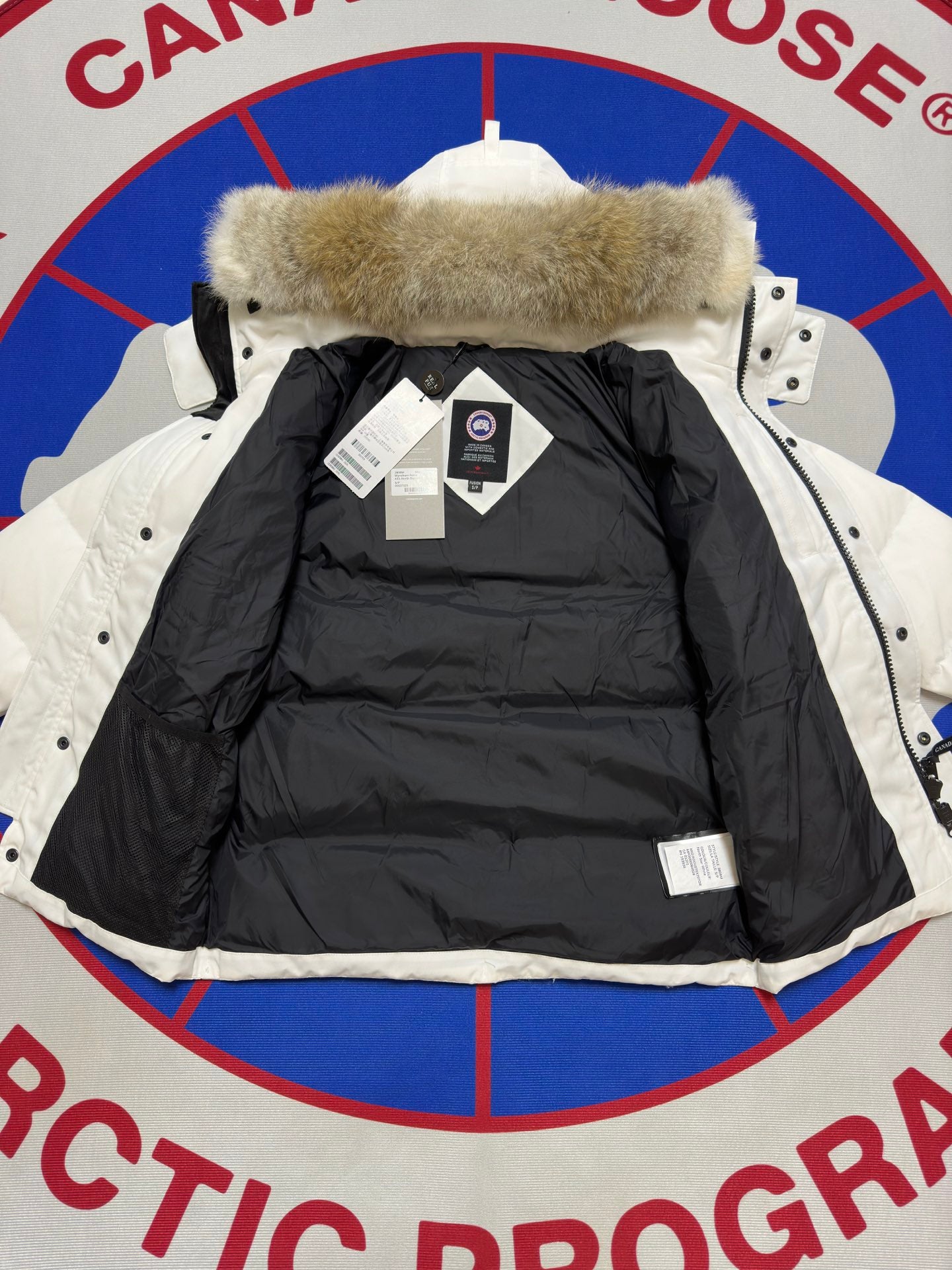 CNDA GOOSE WYNDHAM "WHITE"