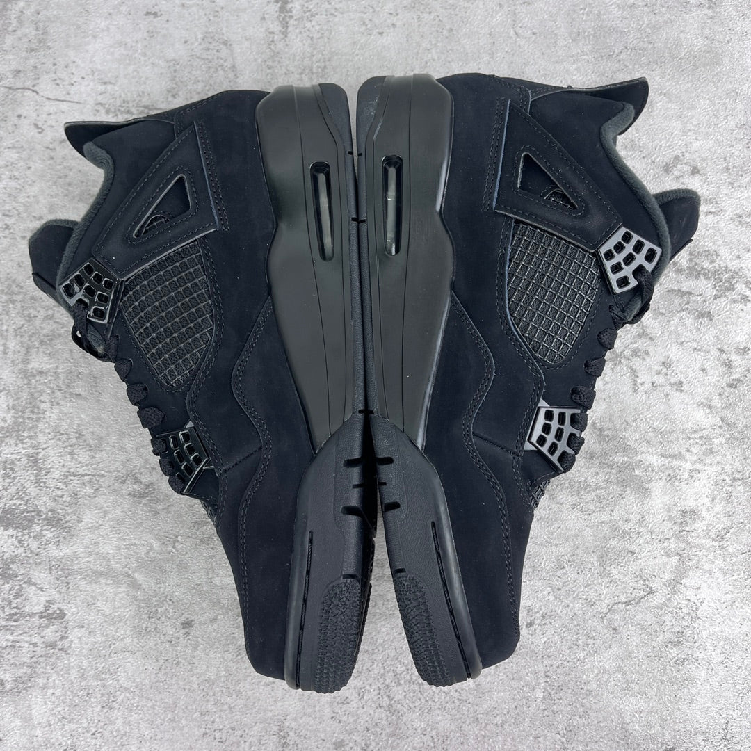 JRDN 4 “Black Cat”