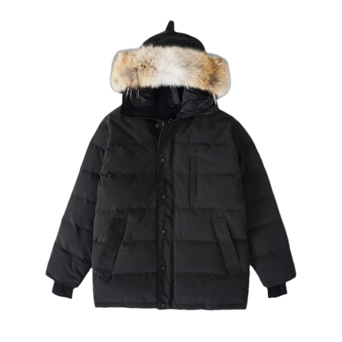 CNDA GOOSE "CARSON"